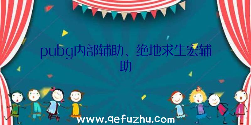 pubg内部辅助、绝地求生宏辅助