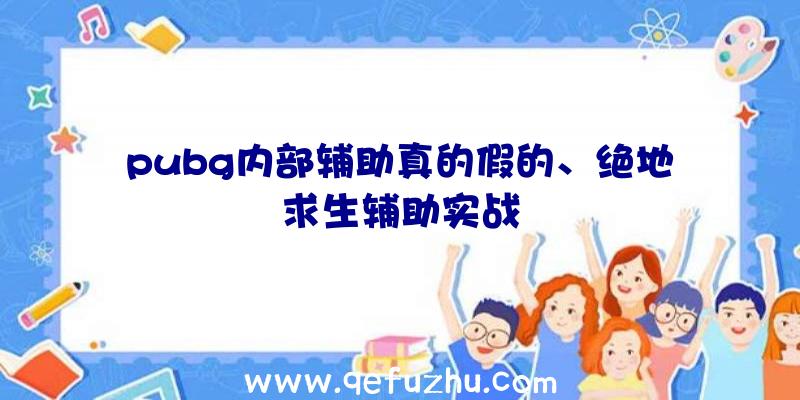 pubg内部辅助真的假的、绝地求生辅助实战