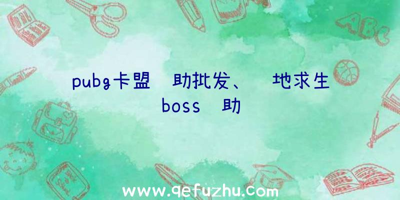 pubg卡盟辅助批发、绝地求生boss辅助
