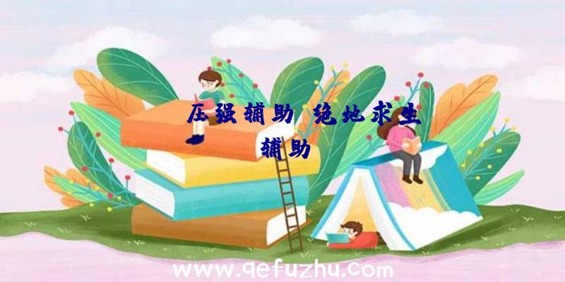 pubg压强辅助、绝地求生wk辅助