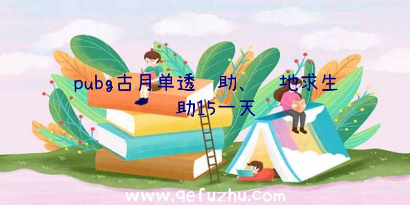 pubg古月单透辅助、绝地求生辅助15一天