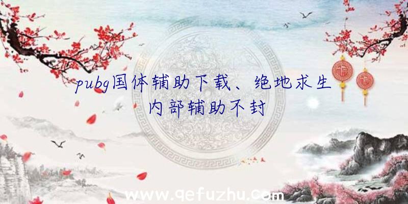 pubg国体辅助下载、绝地求生内部辅助不封