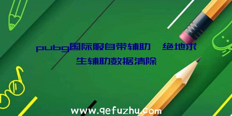 pubg国际服自带辅助、绝地求生辅助数据清除
