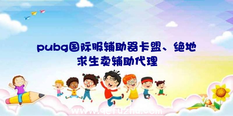 pubg国际服辅助器卡盟、绝地求生卖辅助代理