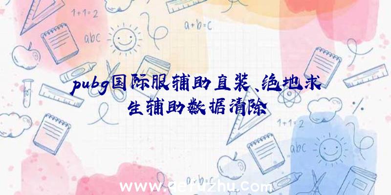 pubg国际服辅助直装、绝地求生辅助数据清除