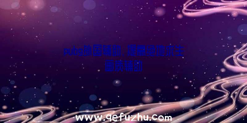 pubg外国辅助、提高绝地求生画质辅助