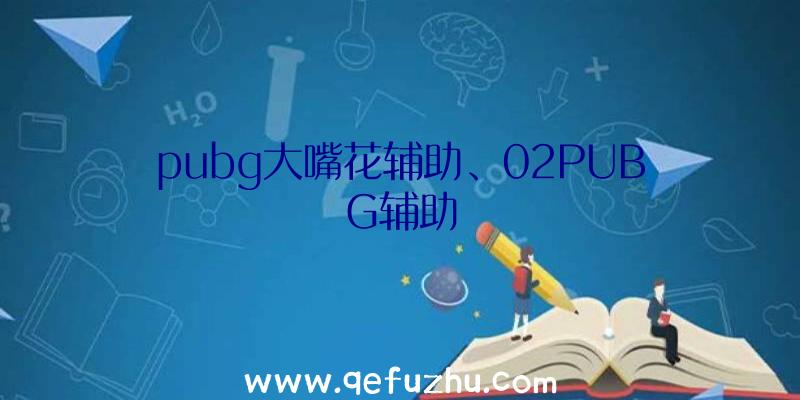 pubg大嘴花辅助、02PUBG辅助