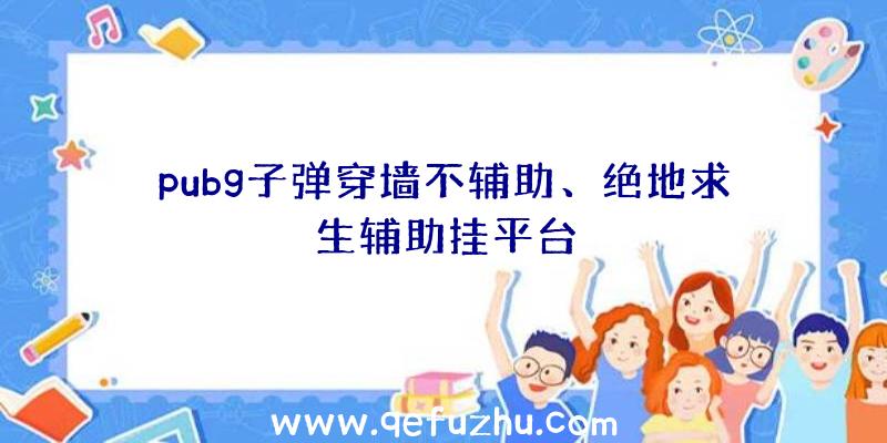 pubg子弹穿墙不辅助、绝地求生辅助挂平台