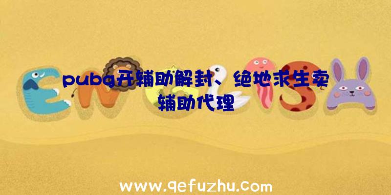 pubg开辅助解封、绝地求生卖辅助代理