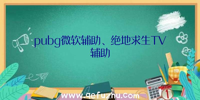 pubg微软辅助、绝地求生TV辅助
