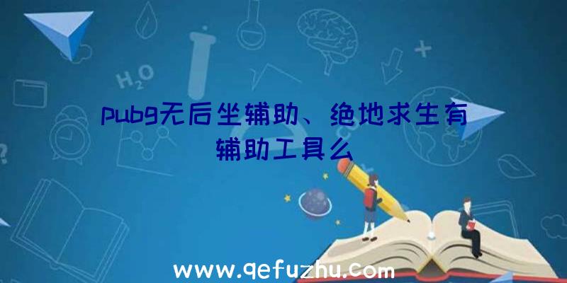 pubg无后坐辅助、绝地求生有辅助工具么