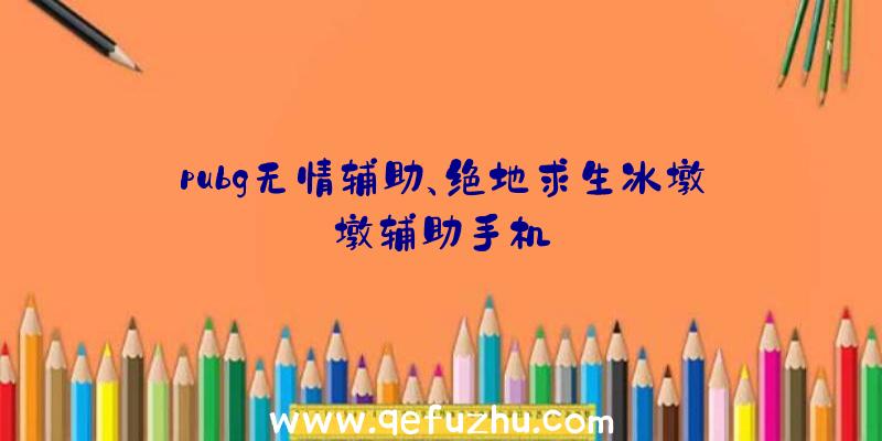 pubg无情辅助、绝地求生冰墩墩辅助手机