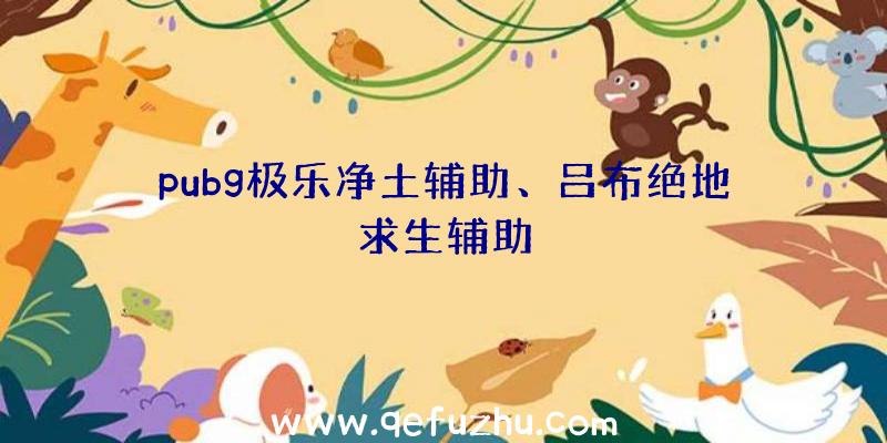 pubg极乐净土辅助、吕布绝地求生辅助