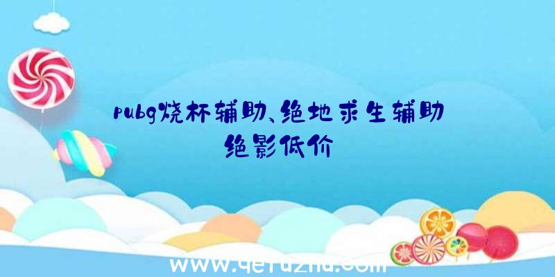 pubg烧杯辅助、绝地求生辅助绝影低价