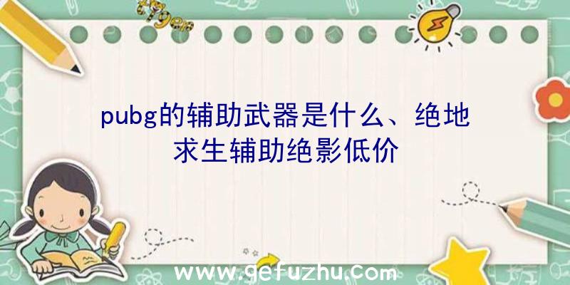 pubg的辅助武器是什么、绝地求生辅助绝影低价