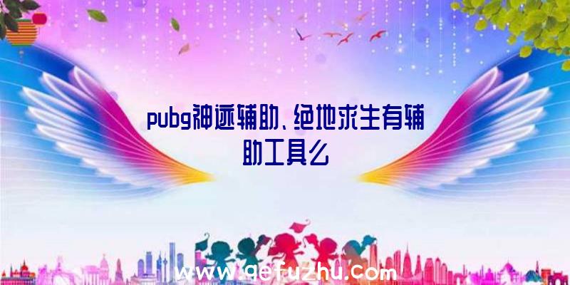 pubg神迹辅助、绝地求生有辅助工具么