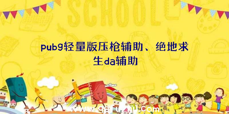 pubg轻量版压枪辅助、绝地求生da辅助