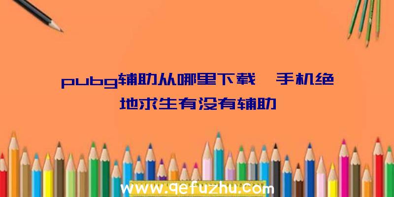 pubg辅助从哪里下载、手机绝地求生有没有辅助
