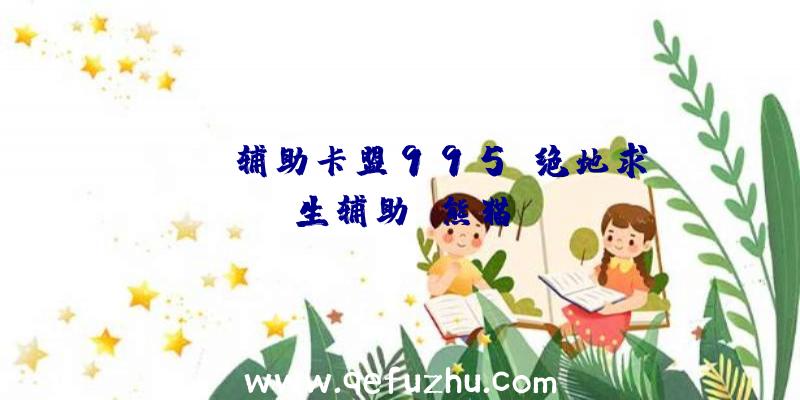 pubg辅助卡盟995、绝地求生辅助