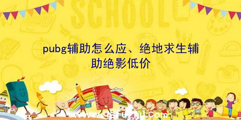 pubg辅助怎么应、绝地求生辅助绝影低价