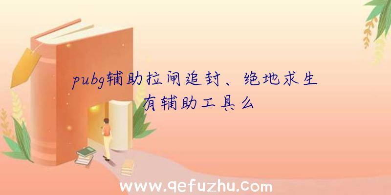 pubg辅助拉闸追封、绝地求生有辅助工具么