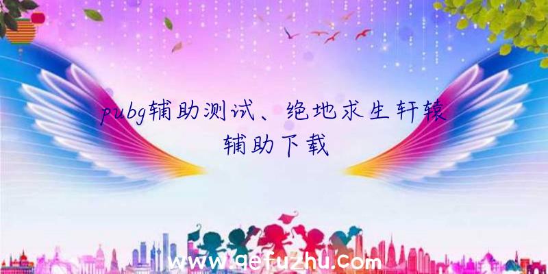 pubg辅助测试、绝地求生轩辕辅助下载