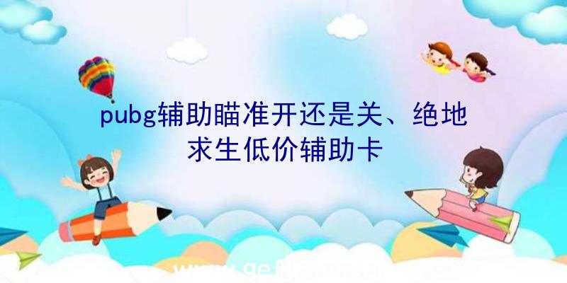 pubg辅助瞄准开还是关、绝地求生低价辅助卡
