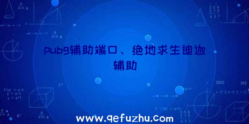 pubg辅助端口、绝地求生迪迦辅助