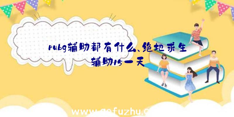 pubg辅助都有什么、绝地求生辅助15一天