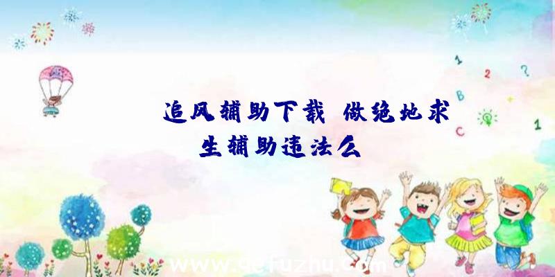 pubg追风辅助下载、做绝地求生辅助违法么