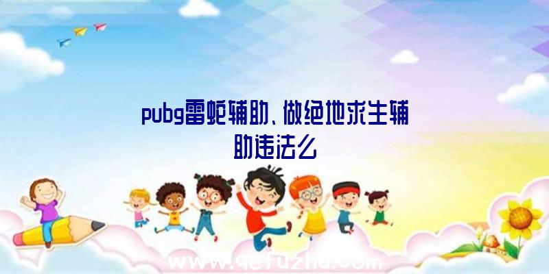 pubg雷蛇辅助、做绝地求生辅助违法么