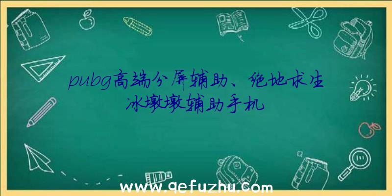 pubg高端分屏辅助、绝地求生冰墩墩辅助手机