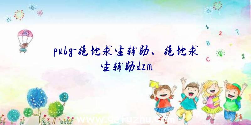 pubg-绝地求生辅助、绝地求生辅助dzm