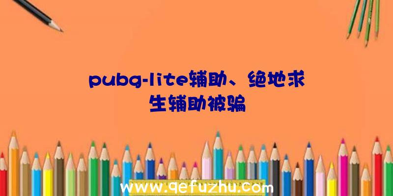 pubg-lite辅助、绝地求生辅助被骗