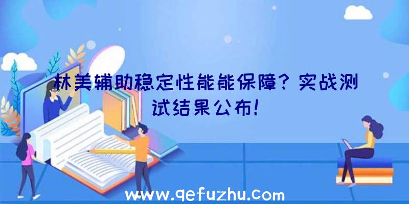 林美辅助稳定性能能保障？实战测试结果公布！