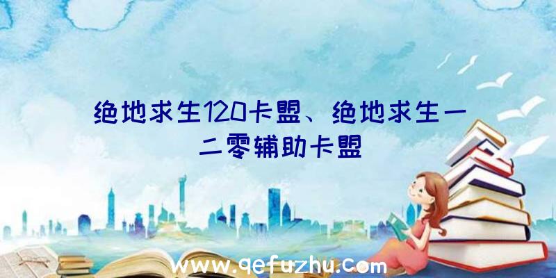 绝地求生120卡盟、绝地求生一二零辅助卡盟