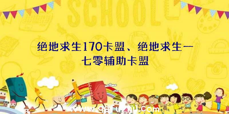绝地求生170卡盟、绝地求生一七零辅助卡盟