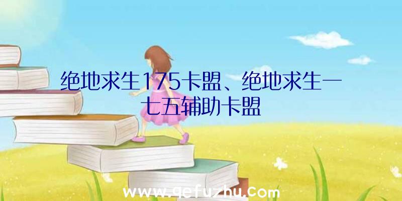 绝地求生175卡盟、绝地求生一七五辅助卡盟