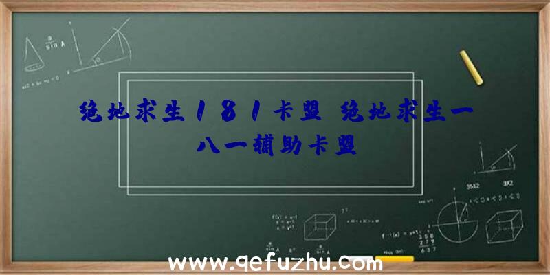 绝地求生181卡盟、绝地求生一八一辅助卡盟