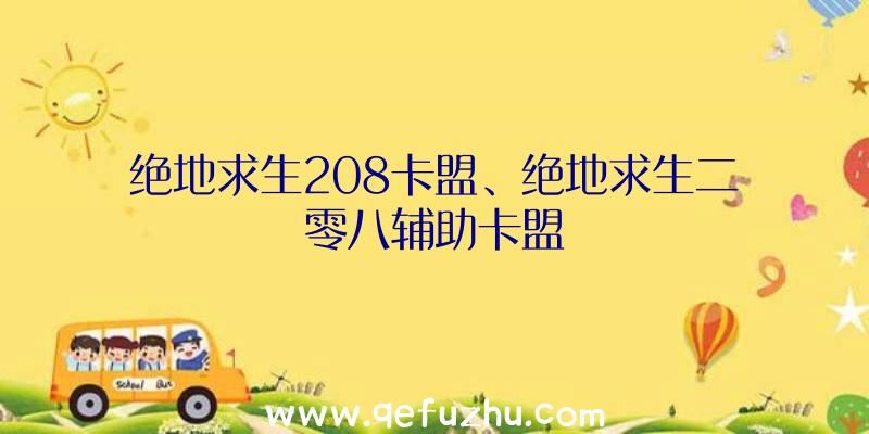 绝地求生208卡盟、绝地求生二零八辅助卡盟