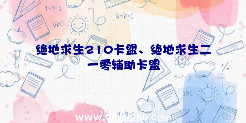 绝地求生210卡盟、绝地求生二一零辅助卡盟