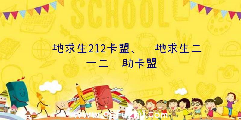绝地求生212卡盟、绝地求生二一二辅助卡盟