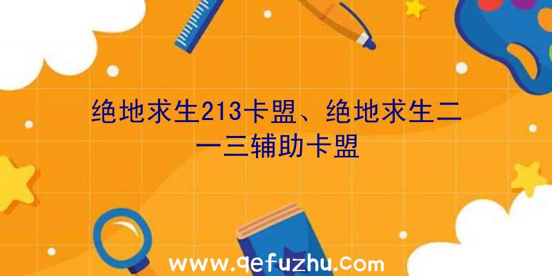 绝地求生213卡盟、绝地求生二一三辅助卡盟