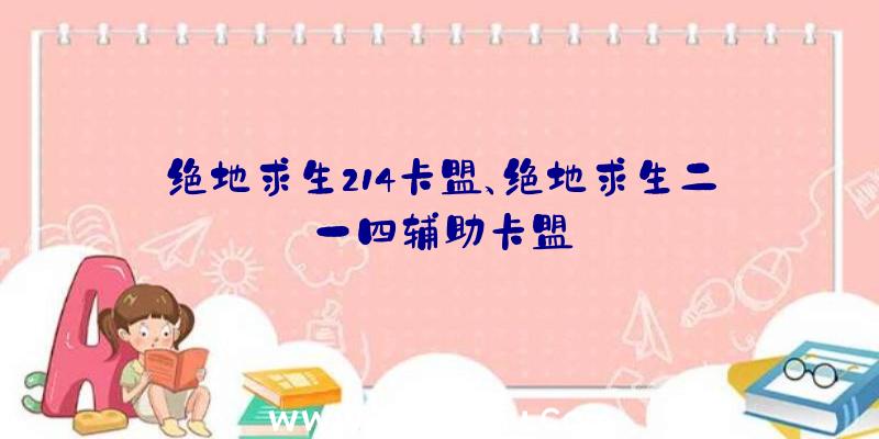 绝地求生214卡盟、绝地求生二一四辅助卡盟