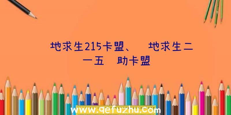 绝地求生215卡盟、绝地求生二一五辅助卡盟
