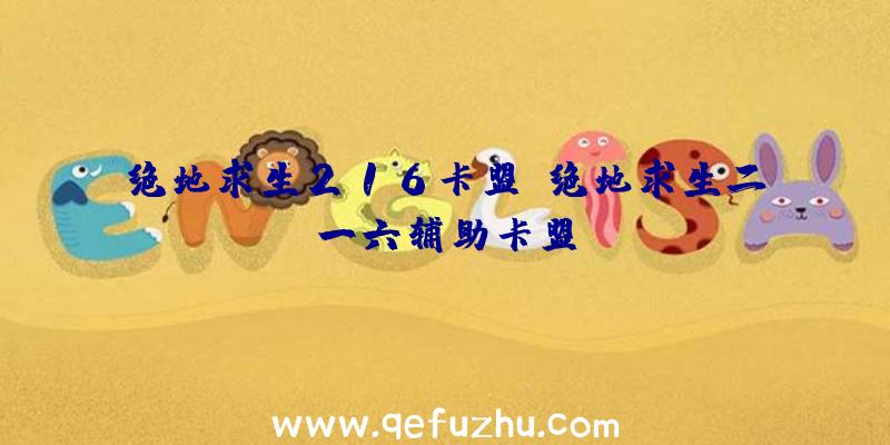 绝地求生216卡盟、绝地求生二一六辅助卡盟