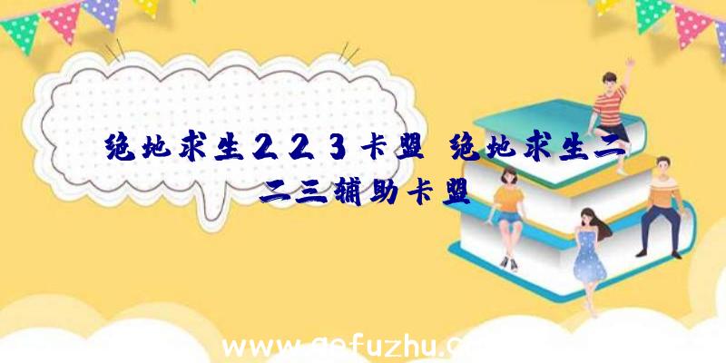 绝地求生223卡盟、绝地求生二二三辅助卡盟