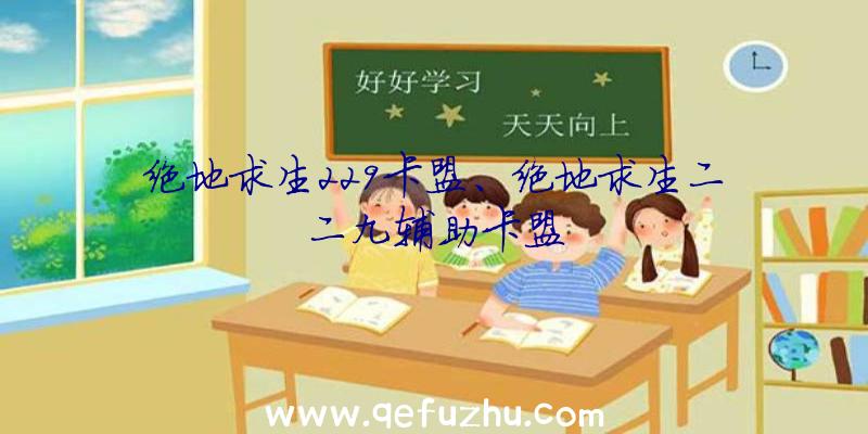 绝地求生229卡盟、绝地求生二二九辅助卡盟