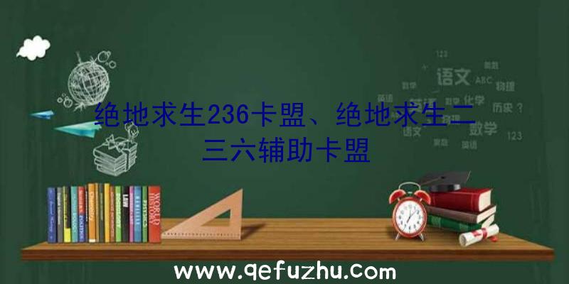 绝地求生236卡盟、绝地求生二三六辅助卡盟
