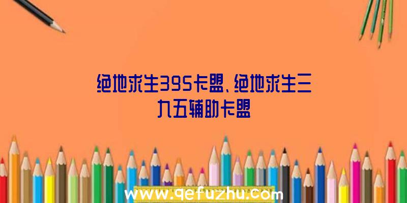 绝地求生395卡盟、绝地求生三九五辅助卡盟